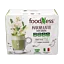 Matcha\u0020latte\u0020ginsenggel\u0020