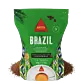 Brazil